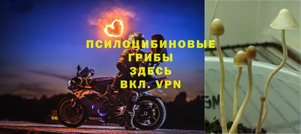 2c-b Саяногорск