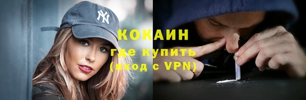 стаф Балахна