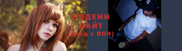 ПСИЛОЦИБИНОВЫЕ ГРИБЫ Арсеньев