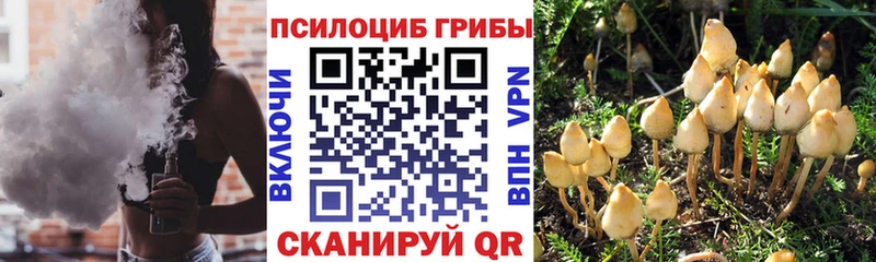 Галлюциногенные грибы Magic Shrooms  Олёкминск 
